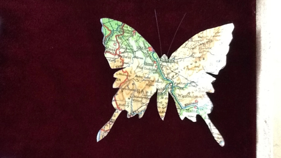 ein Schmetterling